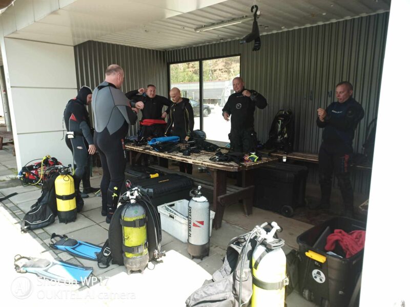 Klub Kalmar – szkolenia nurkowe CMAS, treningi basenowe i aktywna społeczność płetwonurków