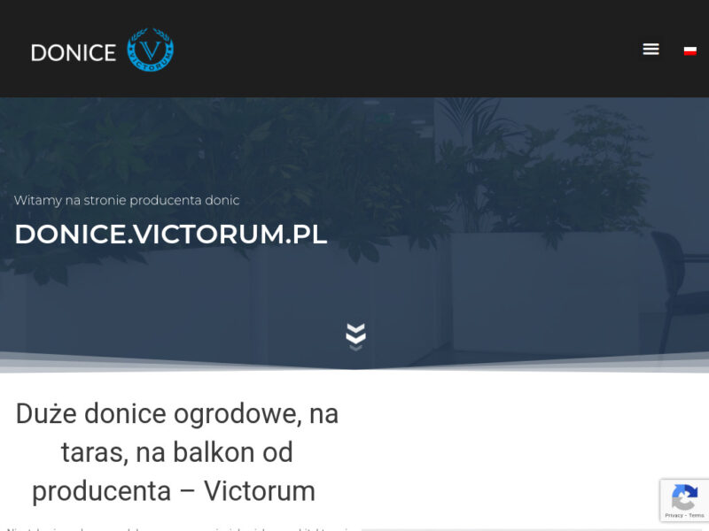 Victorum – producent dużych donic z włókna szklanego i laminatu